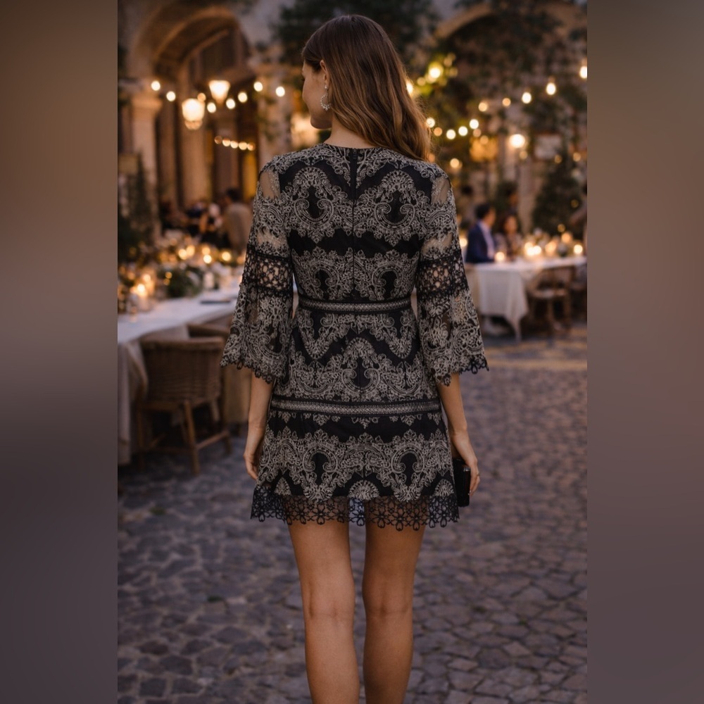 Alexis Black Gray Lace Mini Dress XS Long Sleeve Elegant Cocktail - Picture 2 of 7